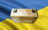 Украина: бросить ли «чемодан без ручки»?