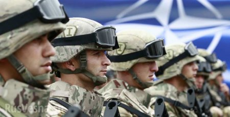 Провокации НАТО у границ России могут привести к «чудовищной конфронтации»