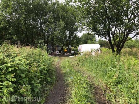 Погромы продолжаются: подо Львовом атаковали лагерь цыган, есть жертвы (+ФОТО)