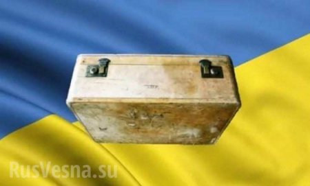 Украина: бросить ли «чемодан без ручки»?
