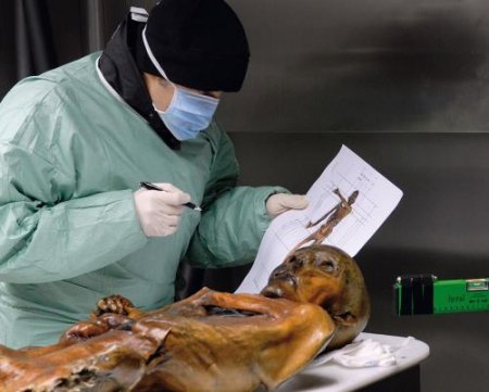 Учёные рассекретили новые подробности жизни ледяной мумии, жившей 5300 лет  ...