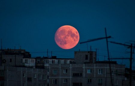 Россияне начинают активно выкладывать в Сеть фото «кровавой» Луны
