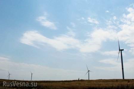 Степные ветра на службе ЛНР: в республике запустили 2 ветряных парка (ФОТОРЕПОРТАЖ)