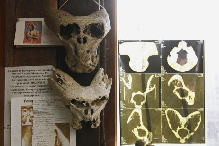 Отшельник из Адыгеи обнаружил черепа пришельцев