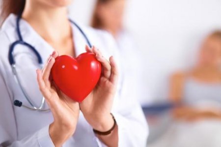 Учёные РФ исследуют сердечные заболевания на клетках доноров