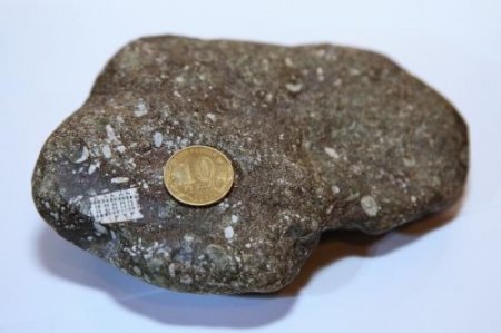 «Отголосок НЛО»: Камень с «микрочипом» возрастом в полмиллиарда лет найден  ...