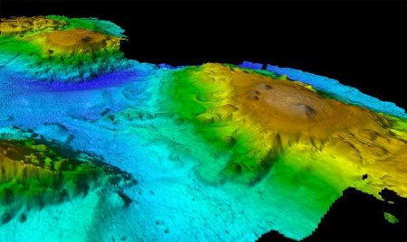 «Ихтиандры, русалки и амфибии»: Ученые нашли «Затерянный мир» под Тасмановым морем
