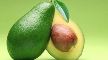 Диетологи: Авокадо поможет эффективно сжигать жир в области живота