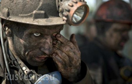 Трагедия на шахте Соликамска: найдены тела горняков, задержаны подозреваемые, объявлен траур (ФОТО, ВИДЕО)