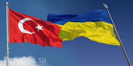 Украина ждёт от Турции «серьёзную помощь» для ВСУ на десятки миллионов долларов