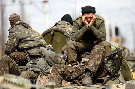 Истерика среди украинских командиров набирает обороты: сводка о военной ситуации на Донбассе (+ВИДЕО)