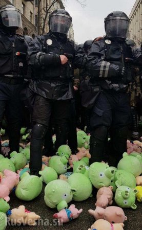 Предвыборный треш: Порошенко атакуют розовые свиньи (ФОТО, ВИДЕО)