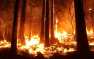 Страшные пожары в Забайкалье: сотни человек лишились своих домов (ВИДЕО)