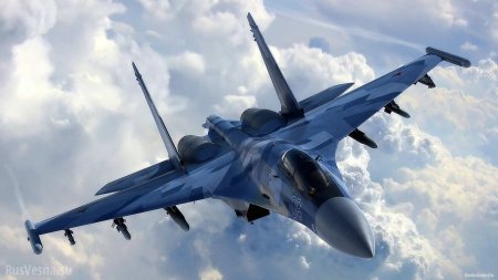 Самолёт, нарушивший границу России, принудительно посадили в Псковской области