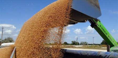 В России создан новый союз экспортеров зерна