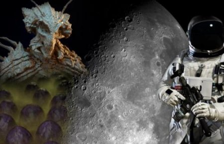 Пришельцы-насекомые готовятся к войне: Инсектоиды строят на Луне ульи и пря ...