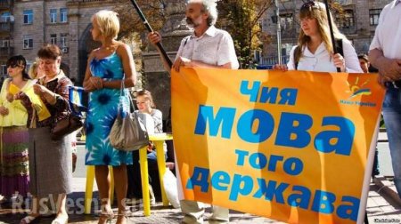В Совфеде назвали украинский закон о госязыке миной замедленного действия