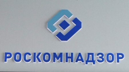 Госдума при содействии Роскомнадзора одобрила новый закон о «значимых сайта ...