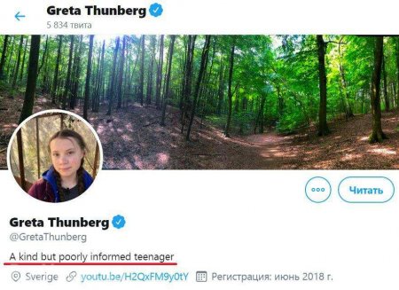 «Добрая девочка» Грета изменила профиль в Twitter после слов Путина (ФОТО)