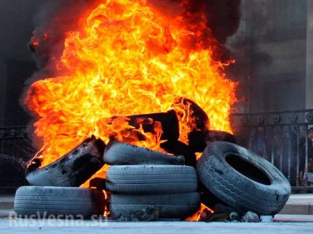 В Гааге протестующие жгут шины, требуя новогодний костёр (ФОТО, ВИДЕО)