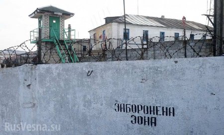 По тюрьмам и лагерям Украины пошло движение