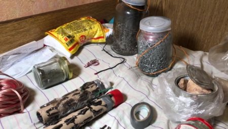 ФСБ предотвратила взрывы в школах: двое керченских подростков репетировали теракты на кошках