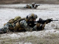 Два американских морпеха погибли в засаде ИГ в Ираке