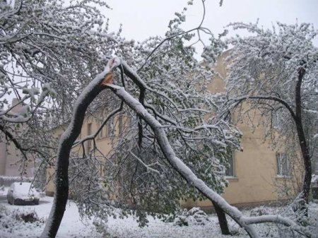 Восточную Европу накрыли резкое похолодание и снегопады (ФОТО, ВИДЕО)