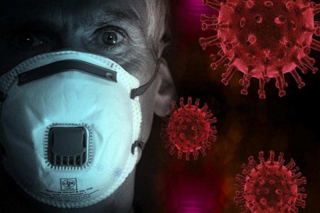 Вторая волна на подходе: новая вспышка К-вируса в Германии