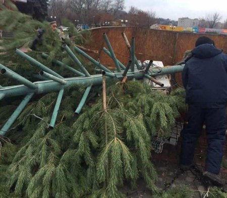 В Каневе рухнула главная новогодняя ёлка (ФОТО)