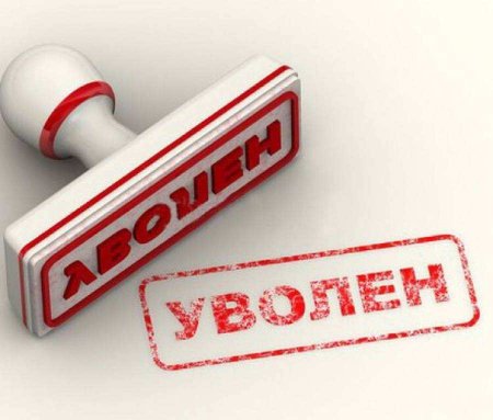 В России уволена министр, жаловавшаяся на «токсичных людей и сброд» | Русская весна