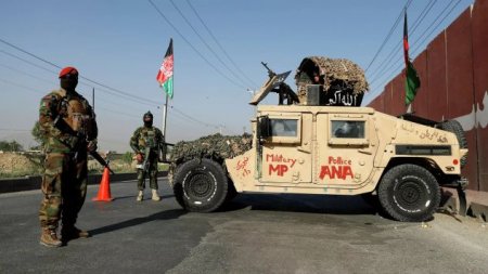 Минобороны Афганистана заявило о ликвидации 