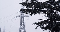 ДРСК призывает жителей Приморья соблюдать правила электробезопасности в нов ...