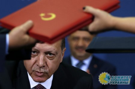 Эрдоган ждёт согласия Путина встретиться с Зеленским в Турции