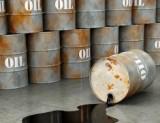 Индийская госкомпания купила у РФ 3 млн баррелей нефти Urals
