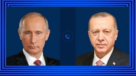 Эрдоган предложил Путину одностороннее прекращение боевых действий