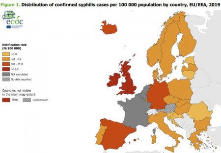Эпидемии, о которых молчат: сифилис и гонорея в Европейском союзе и США