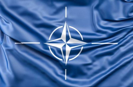 Парламент Финляндии проголосовал за вступление страны в НАТО