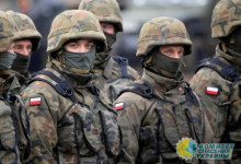 Эксперт рассказал, сколько военных Польша намерена отправить на Украину