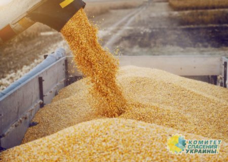 Словакия запретила зерно, выращенное на Украине