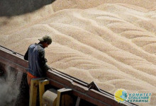Россия продлила невыполняющуюся Западом зерновую сделку