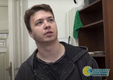 Роман Протасевич получил восемь лет заключения