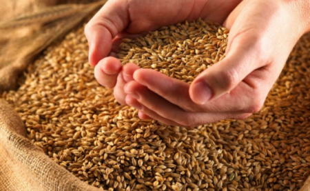 Польша, Венгрия и Румыния продлевают запрет на импорт зерна с Украины до ко ...