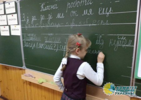 В ДНР 1355 детей будут изучать украинский язык