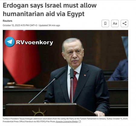 Эрдоган назвал бесчеловечным призыв к палестинцам покинуть сектор Газа