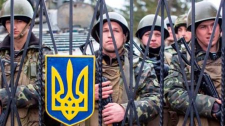 «Закарпатцы — не скот!»: на западе Украины протестуют против нападения толпы вооружённых военкомов