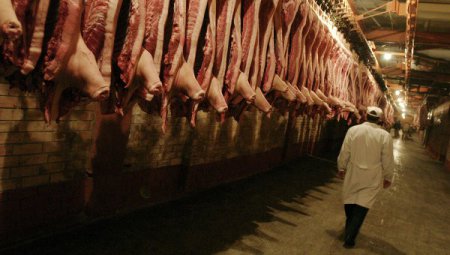 Россия может запретить ввоз украинской свинины из-за чумы