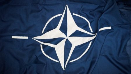 НАТО приветствует планы России по борьбе с ИГ в Сирии