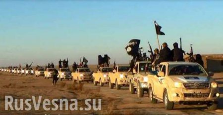 Финразведки РФ, Ирана, Ирака, Сирии начинают свою войну с ИГИЛ