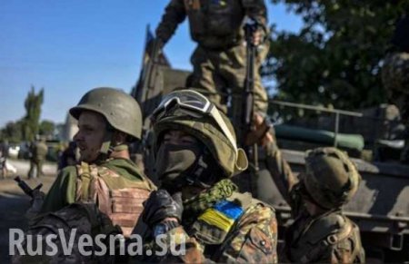 ВСУ не пускают патрули ОБСЕ на свои блокпосты, пытаясь скрыть технику, — Народная милиция ЛНР